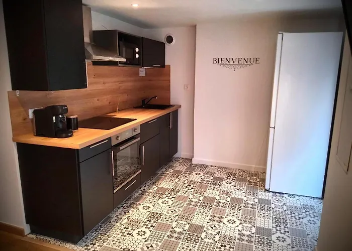 Lejlighed Le Cocon Du Centre 2-4 Personnes *